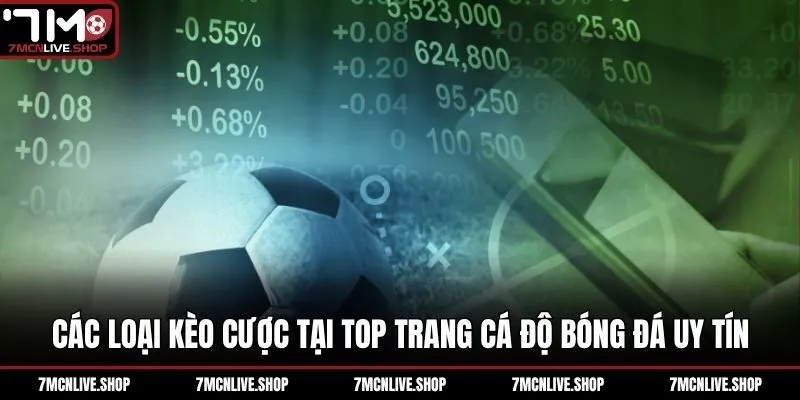 Các loại kèo cược tại top trang cá độ bóng đá uy tín