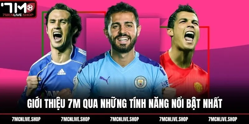 Giới thiệu 7M qua những tính năng nổi bật nhất