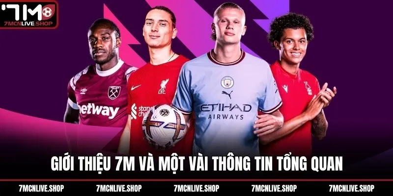 Giới thiệu 7M và một vài thông tin tổng quan