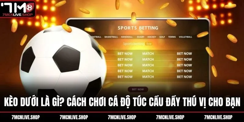 Kèo Dưới Là Gì? Cách Chơi Cá Độ Túc Cầu Đầy Thú Vị Cho Bạn