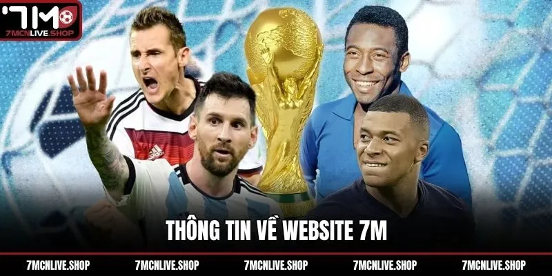 Thông tin về website 7M