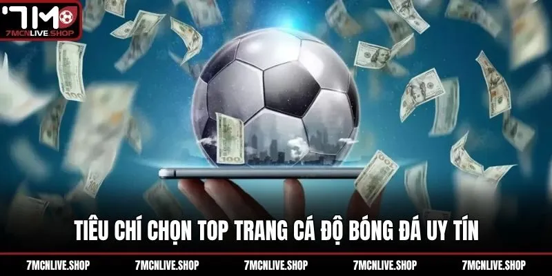 Tiêu chí chọn top trang cá độ bóng đá uy tín
