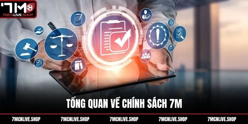 Tổng quan về chính sách 7M