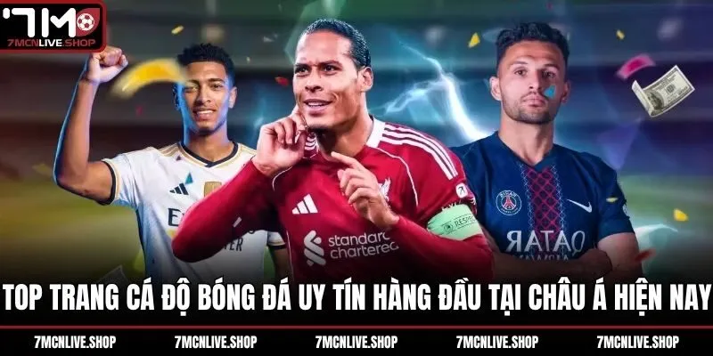 Top Trang Cá Độ Bóng Đá Uy Tín Hàng Đầu Tại Châu Á Hiện Nay