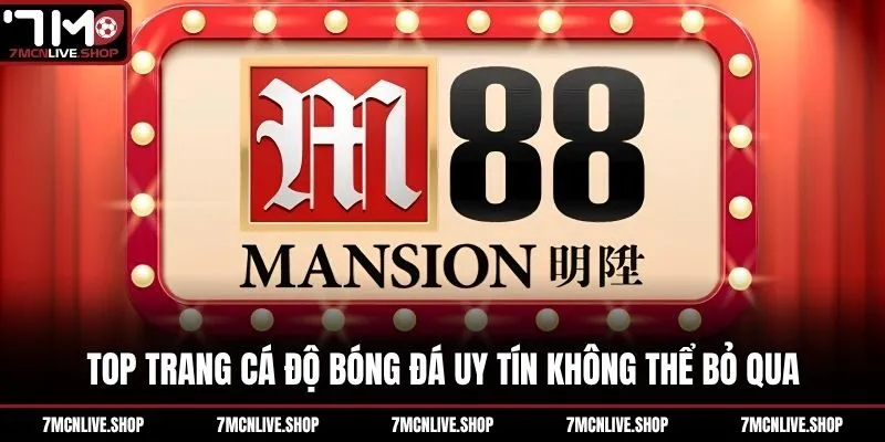 Top trang cá độ bóng đá uy tín không thể bỏ qua
